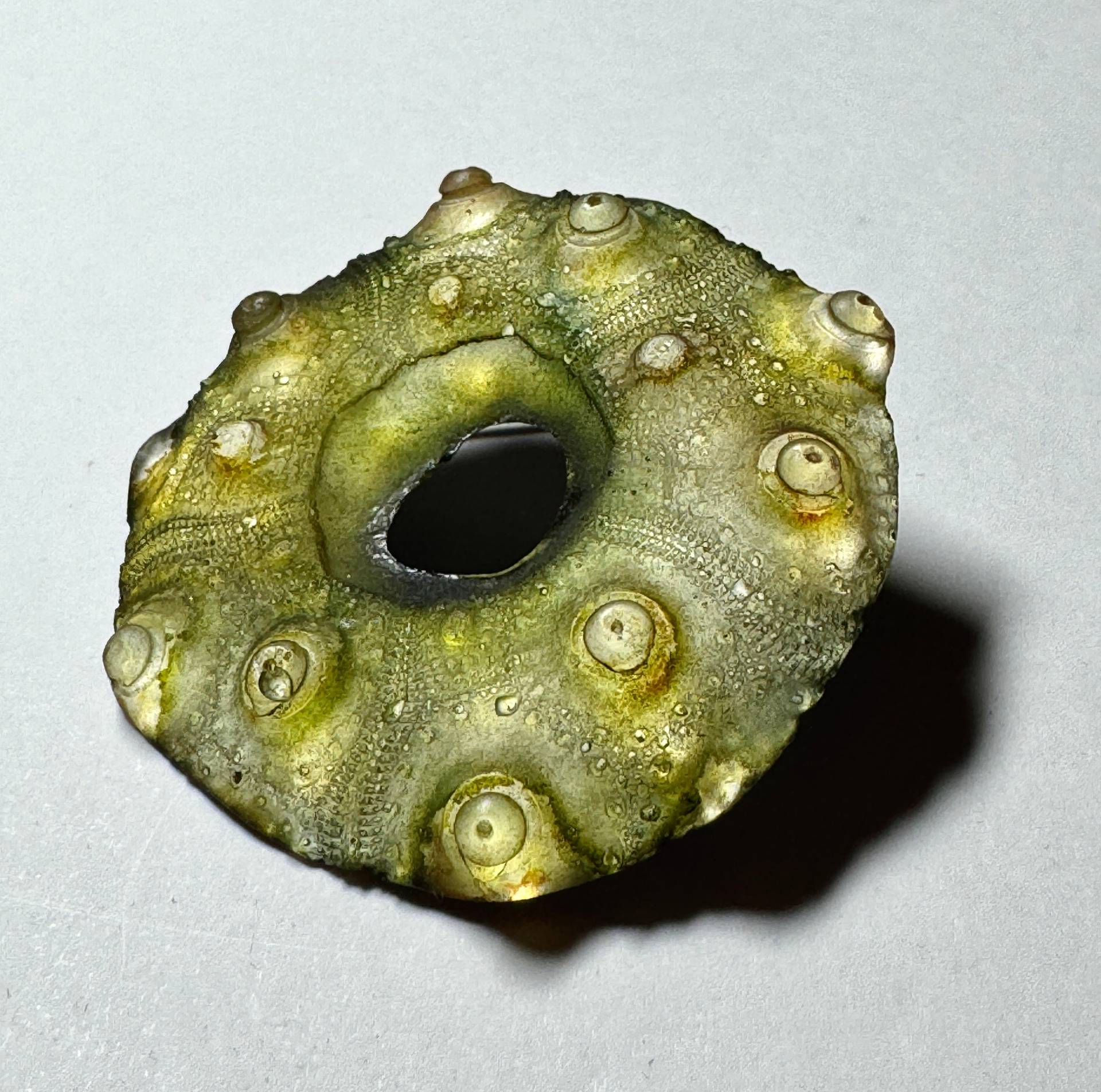 Handbemalte Seeigel-Brosche Leicht Und Handbemalt von VenerableElements