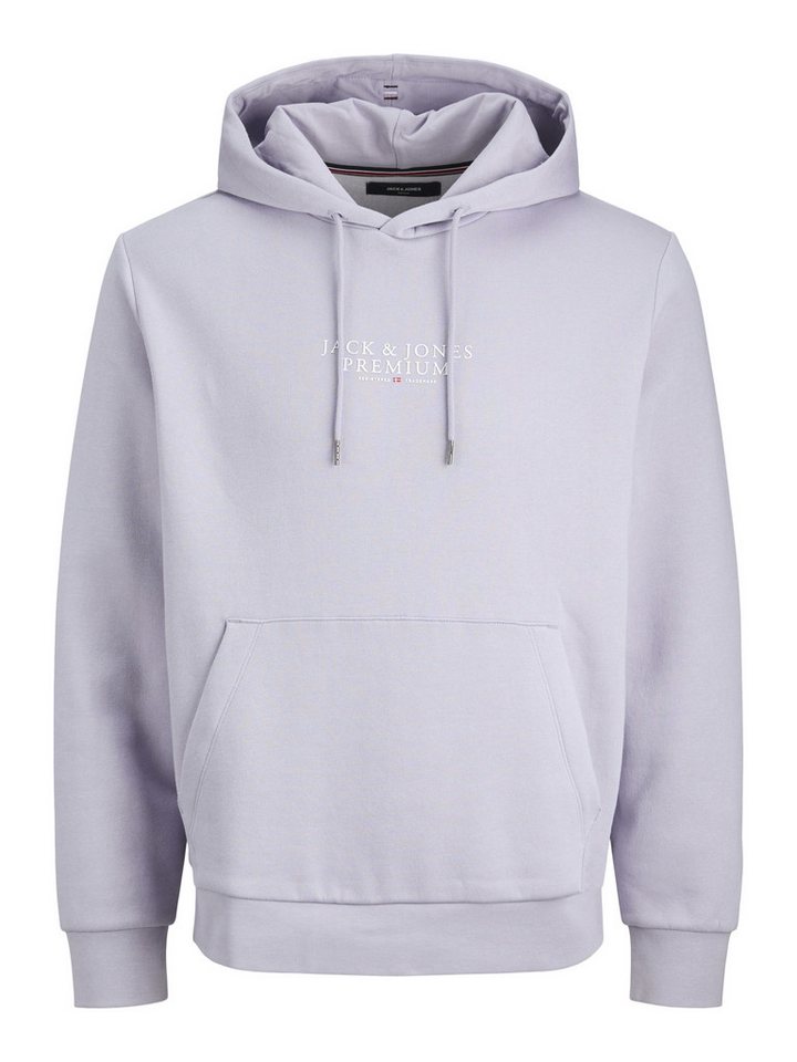 JDY Sweatshirt JPRBLUARCHIE SWEAT HOOD NOOS von JDY
