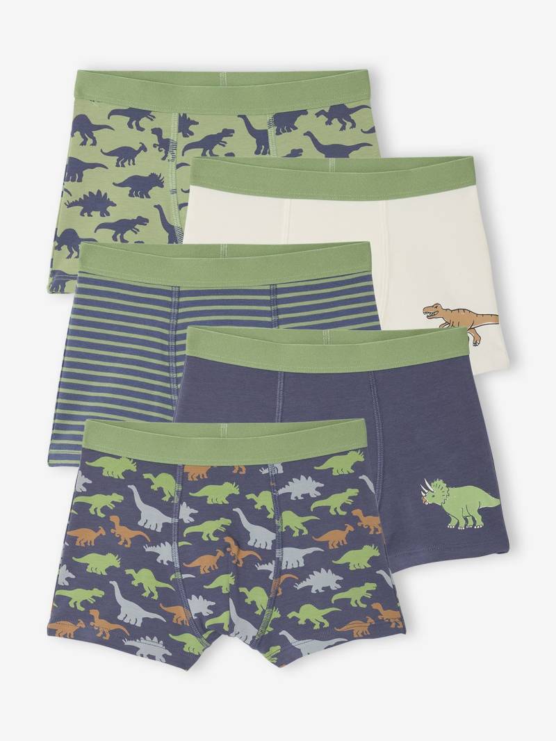 5er-Pack Boxershorts mit Dinosaurier Bio-Baumwolle von Vertbaudet