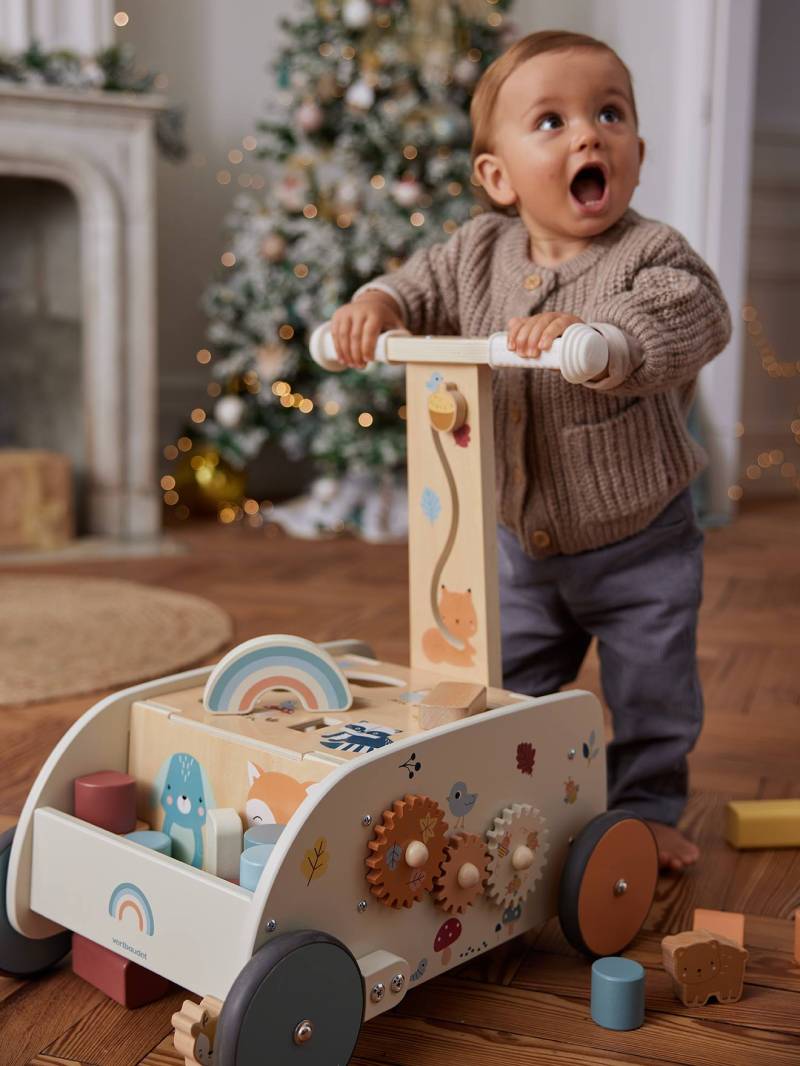 Baby 2-in-1-Lauflernwagen WALDFREUNDE aus Holz FSC® von Vertbaudet