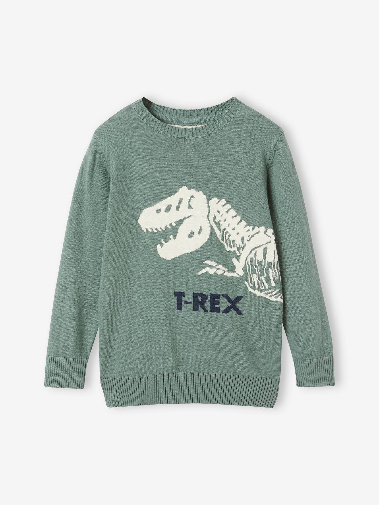 Jungen Pullover mit Dino Oeko-Tex salbei von Vertbaudet