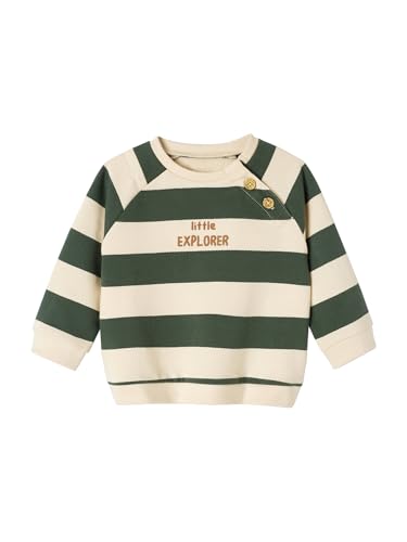 Vertbaudet Baby Sweatshirt, Streifen tannengrün 86 von Vertbaudet