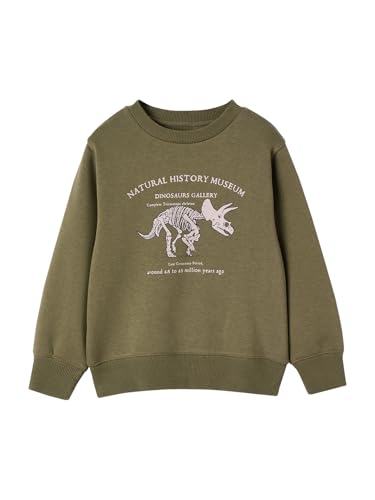 Vertbaudet Jungen Sweatshirt mit Print vorn, Recycling-Polyester Basic Khaki 158/164 von Vertbaudet