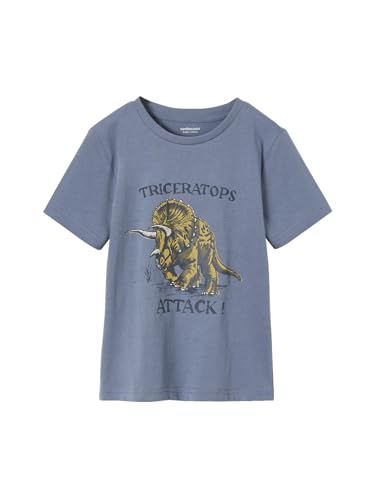 Vertbaudet Jungen T-Shirt mit Dino-Print, Recycling-Baumwolle graublau 116 von Vertbaudet