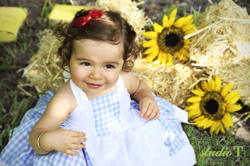 Dorothy Kleid, Kostüm, Zauberer Von Oz Kleid Mädchen von VeryChicBaby