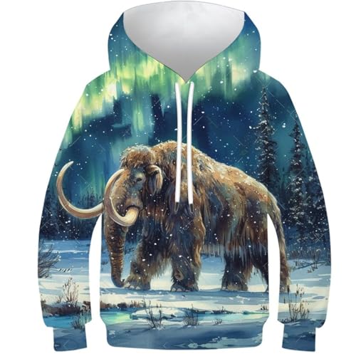 VesFy Aurora und Mammut Kapuzenpullover Pullover Hoody 3D Druck Arktis Sweatshirt Drawstring Hoodie Streetwear Mit Tasche Eignung Jungen Und Mädchen Casual Langarm Unisex 8-10Y von VesFy