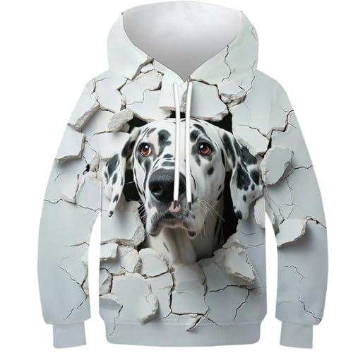VesFy Dalmatiner-Hund Hoody Sweatshirt Jumper 3D Druck Tier Pet Pullover Drawstring Hoodie Mit Tasche Streetwear Eignung Jungen Und Mädchen Casual Langarm Unisex 10-12Y von VesFy