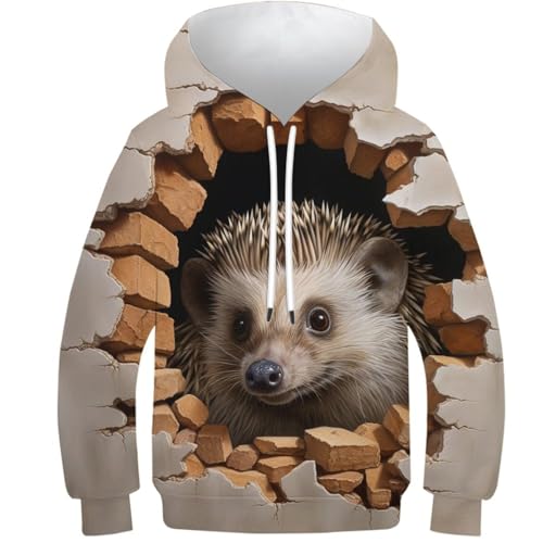 VesFy Kreativer Igel 3D Druck Tier Jumper Pullover Sweatshirt Hoody Streetwear Hoodie Drawstring Mit Tasche Eignung Jungen Und Mädchen Casual Langarm Unisex 7-9Y von VesFy