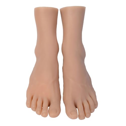 Vexebnular Praktische Männer Größe 44 Fuß Anzeige Modell Praxis Training Modell TPE Textur Perfekt Für Schuhwerbung Klassenkunstprojekte Anatomisch Genaue Fußunterrichtshilfe Vexebnular Praktische Männer Größe 44 Fuß Anzeige Modell Praxis Training Modell TPE Textur Perfekt Für Schuhwerbung Klassenkunstprojekte Anatomisch Genaue Fußunterrichtshilfe von Vexebnular