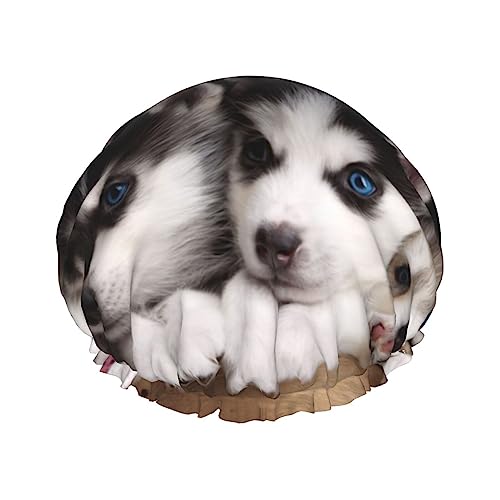 Duschhaube, Motiv: Husky-Hund, bedruckt, Badekappe, wasserdicht, wiederverwendbar, Duschhut für Damen und Herren, Haar-Badekappen Duschhaube, Motiv: Husky-Hund, bedruckt, Badekappe, wasserdicht, wiederverwendbar, Duschhut für Damen und Herren, Haar-Badekappen von VhoMes