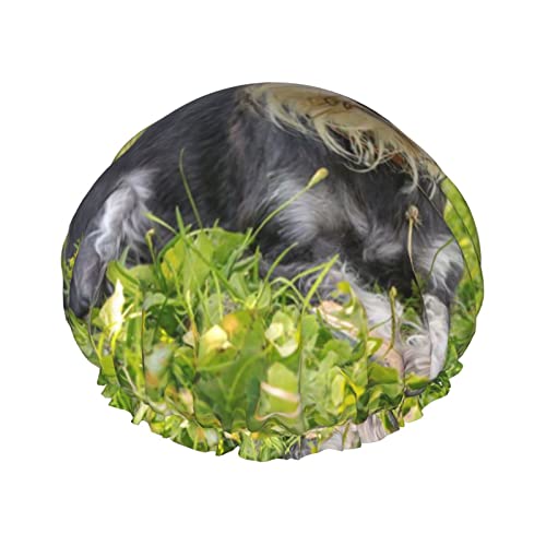 Duschhaube, Motiv: Zwergschnauzer, bedruckt, Badekappe, wasserdicht, wiederverwendbar, Duschhut für Damen und Herren, Haar-Badekappen Duschhaube, Motiv: Zwergschnauzer, bedruckt, Badekappe, wasserdicht, wiederverwendbar, Duschhut für Damen und Herren, Haar-Badekappen von VhoMes