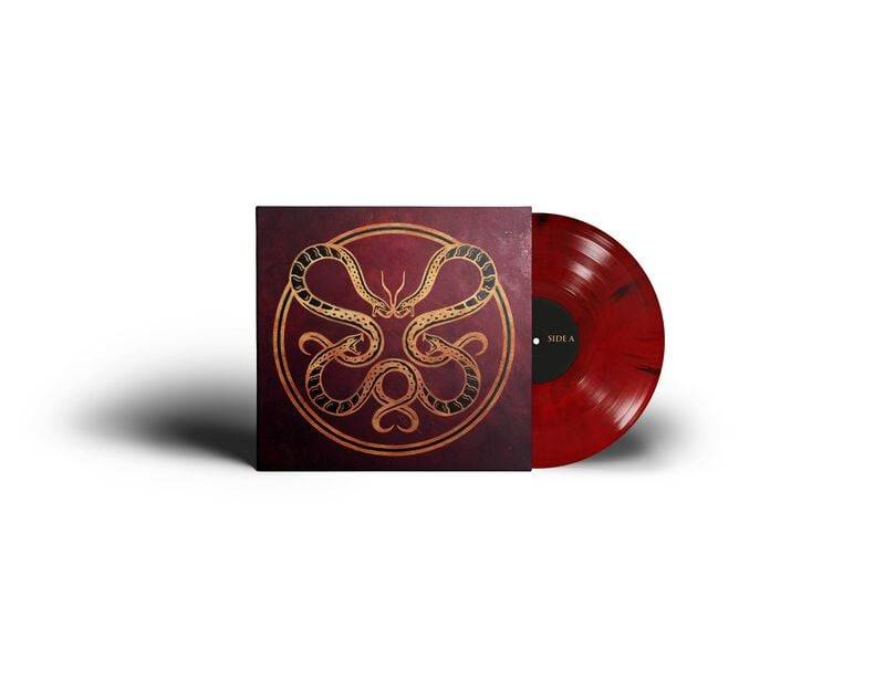 Vicious Rain The Anatomy of Surviving LP multicolor von Vicious Rain