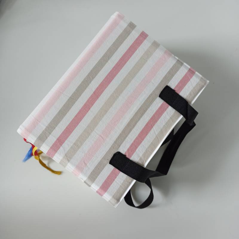 Habersack-Tasche | 12 Rosabeige Streifen Umschlag 100 Mm Deutsche Gesetze Textsammlung Buch Bücher Henkel Jura Studium Referendariat von Vielfach