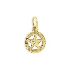 Glückstern Charms Anhänger echt 14 Karat Gold 585 Durchm. 9mm (Art.211028) von Viennagold