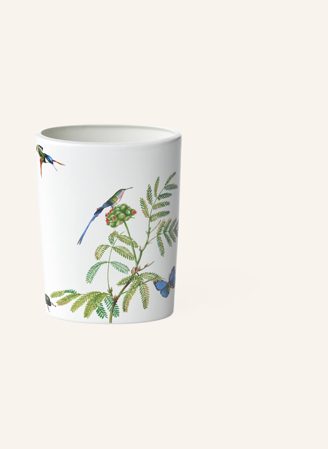 Villeroy & Boch Vase Amazonia weiss von Villeroy & Boch