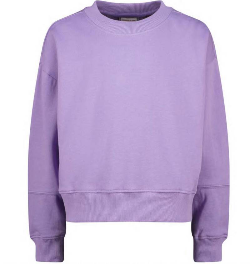 Vingino Sweater Niere von Vingino