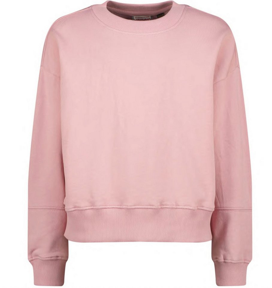 Vingino Sweater Niere von Vingino