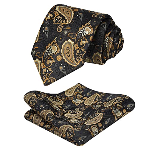 Vinlari Herren Krawatte & Einstecktuch Set Paisley Krawatte Taschentuch Elegant Seide Krawatten für Herren Hochzeitsfeier von Vinlari