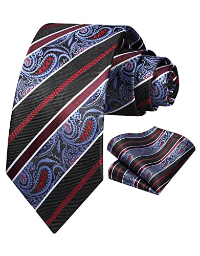 Vinlari Herren Krawatte & Einstecktuch Set Paisley Krawatte Taschentuch Elegant Seide Krawatten für Herren Hochzeitsfeier von Vinlari