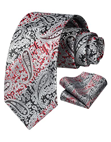 Vinlari Herren Krawatte & Einstecktuch Set Paisley Krawatte Taschentuch Elegant Seide Krawatten für Herren Hochzeitsfeier von Vinlari