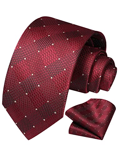Vinlari Herren Krawatte & Einstecktuch Set Seide Check Krawatte Taschentuch Elegant Karierte Krawatten für Herren Hochzeitsfeier von Vinlari