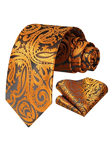 Vinlari Krawatte Gold Herren Krawatte & Einstecktuch Set Paisley Krawatte Taschentuch Elegant Seide Krawatten für Herren Hochzeitsfeier von Vinlari