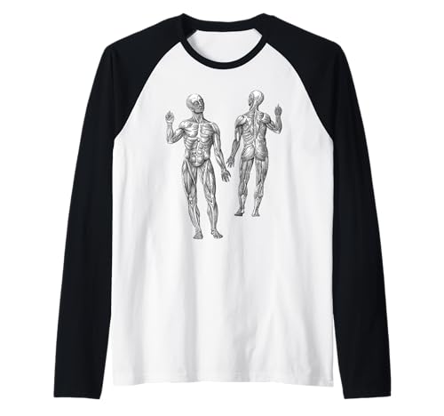 Muscle Man Workout oder Physiotherapie Raglan von Vintage Anatomical Art