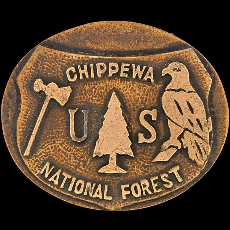 Messing Forest Service Chippewa National Usfs Minnesota Ranger 1970Er Jahre Vintage Gürtelschnalle Us Forstwirtschaft Abteilung Landwirtschaft Park von VintageBeltBuckle