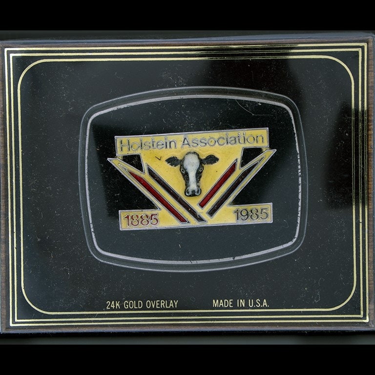 Neue W/Box Holstein Assn Milchkuh Rindermilchproduzent Landwirt 1970Er Jahre Nos Vintage Gürtelschnalle Organisation Erzeuger Milchhofproduktion von VintageBeltBuckle