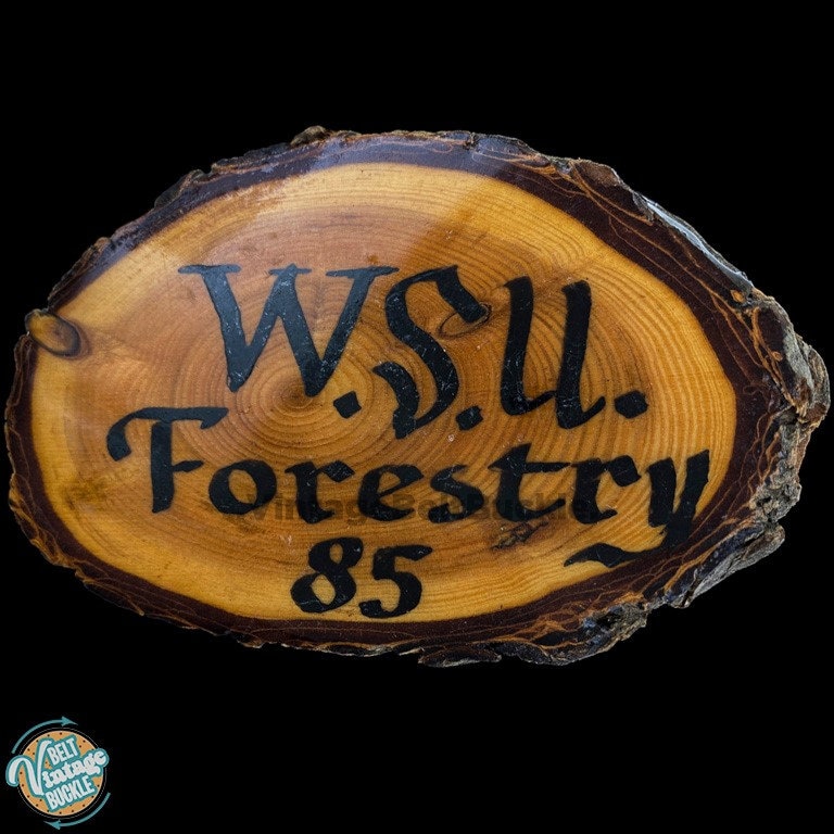 Wsu Erweiterung Forestry Washington 1980Er Jahre Vintage Gürtelschnalle State Universität Alumni Studentenprogramm Puget Sound Region Snohomish von VintageBeltBuckle