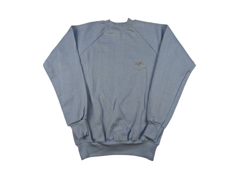 Vintage Pullover Gr Xs Hellblau Fruit Of The Loom Sweatshirt Dicker Rundhals Crewneck 1990Er Jahre American Retro von VintagePremiumShirts