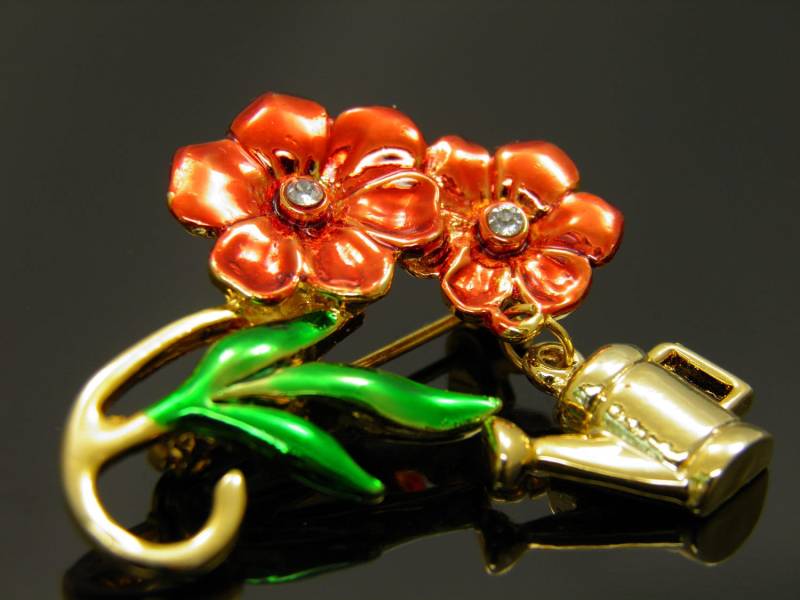 Vintage Rote Blumen Mit Baumelnden Bewässerung Können Pin von VintagePresentations