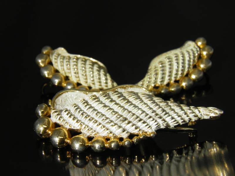 Vintage Sarah Coventry Seltene Und Elegante Goldtone Weißem Emaille Conch Shell Demi Brosche Ohrringe Vintage Sarah Coventry Seltene Und Elegante Goldtone Weißem Emaille Conch Shell Demi Brosche Ohrringe von VintagePresentations