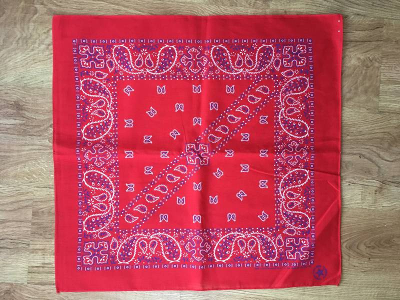 Vintage Kirschrote, Blaue Und Weisse Hundehalstücher von VintageSilo