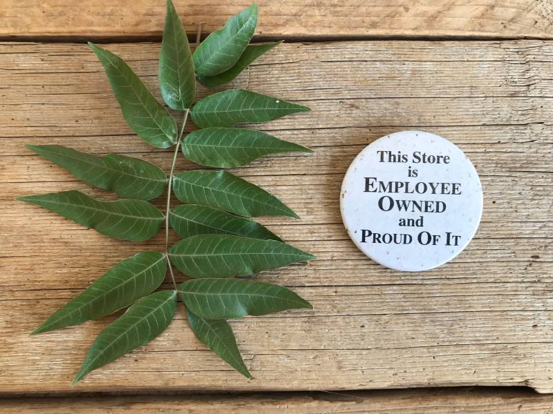 Vintage Anstecker "This Store Is Mitarbeiter Besitz Und Stolz Darauf" Vintage Anstecker "This Store Is Mitarbeiter Besitz Und Stolz Darauf" von VintageSilverLining