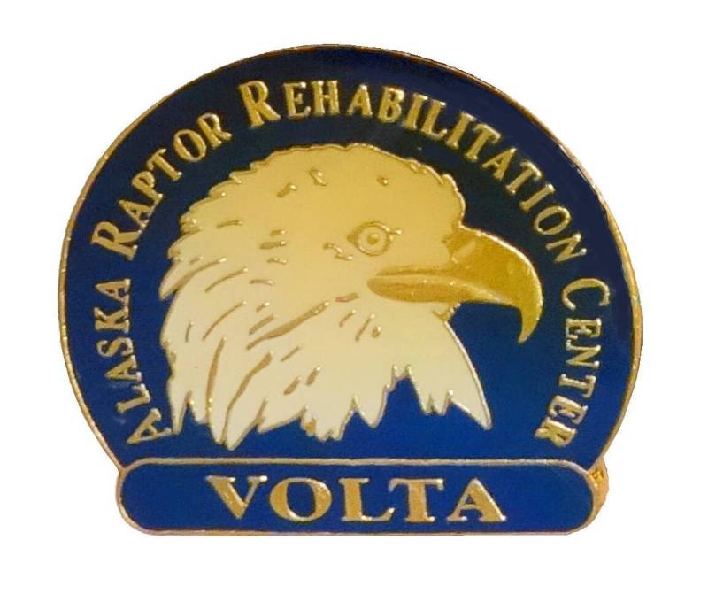Alaska Raptor Reha-Zentrum Volta Vintage Emaille Anstecknadel Alaska Raptor Reha-Zentrum Volta Vintage Emaille Anstecknadel von VintageTrafficUSA