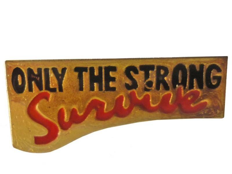 Only The Strong Survive Alle Vintage Emaille Pin Anstecknadel von VintageTrafficUSA