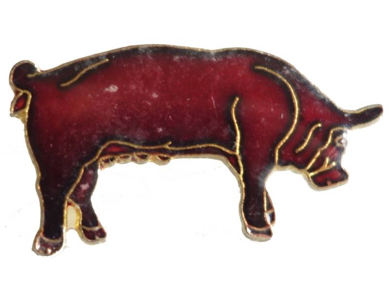 Pig Vintage Emaille Pin Anstecknadel Pig Vintage Emaille Pin Anstecknadel von VintageTrafficUSA