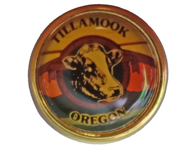 Tillamook Oregon Vintage Emaille Pin Revers Abzeichen Geschenk Pinback von VintageTrafficUSA