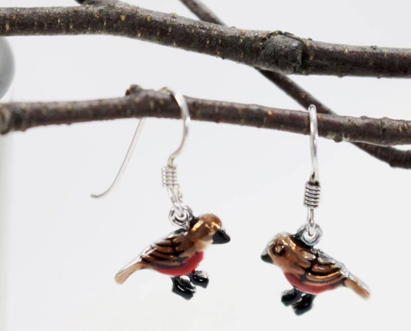 Robin Rote Brust Vogel Baumeln Ohrringe. Von Hand Bemalt, Handgefertigte Sterling Silber Ohrhaken. Natur, Garten Design Inspiriert Robin Rote Brust Vogel Baumeln Ohrringe. Von Hand Bemalt, Handgefertigte Sterling Silber Ohrhaken. Natur, Garten Design Inspiriert von VioletandVirtue