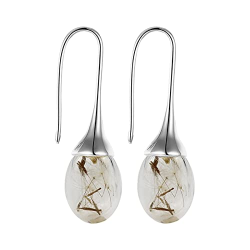 Ohrringe Echtes Silber 925, Mit Kristalle Zirkonia,Hypoallergen,Hakenverschluß Hänge,Schmuck Geschenk für Frauen Ohrringe Echtes Silber 925, Mit Kristalle Zirkonia,Hypoallergen,Hakenverschluß Hänge,Schmuck Geschenk für Frauen von Vipomkowa