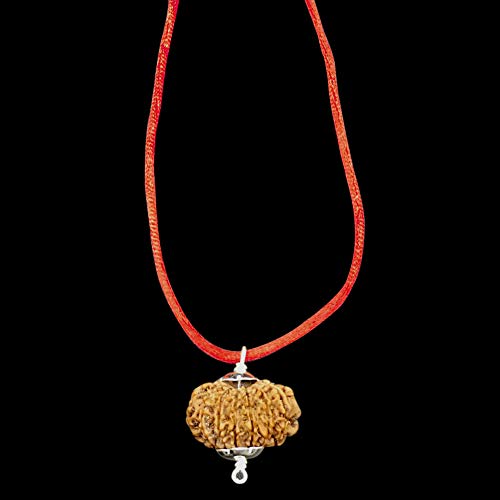 11 Mukhi Nepal Rudraksha/Elf Face/Lord Hanuman in reinem Silber Anhänger IGL zertifiziert 100% Original echte Perle alle Größen (klein (22-24 mm)) von Vishaka Arts