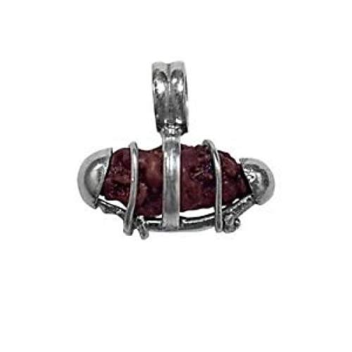 Vishaka Arts Natürlicher 1 Mukhi-Rudraksha aus Java (Indonesien), IGL-zertifiziert, sehr selten/eingesichtlicher Lord Shiva in reinem Silber, IGL-zertifiziert, alle Größen, 11 mm - 12 mm, Rudraksha von Vishaka Arts