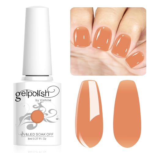 Vishine Neutral Gel Nail Polish 8ml Sheer Color Jelly, Natural Translucent Soak Off U V LED Nail Lamp Translucent Nail Art Gel L121 von Vishine
