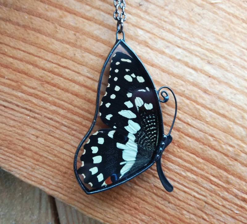 Echte Schmetterling Halsketten Natur Schmuck Terrarium Halskette, Flügel, Anhänger Buntglas Schmetterling, Insekt von VitrazhStainedGlass