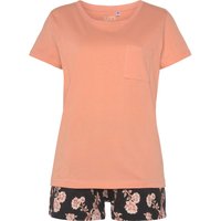 Shorty von Vivance Dreams