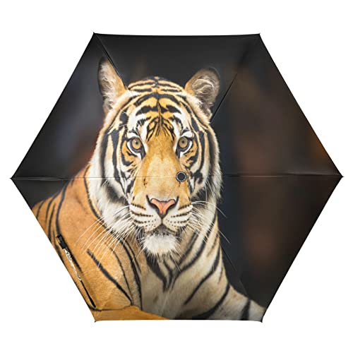 Vnurnrn Sibirischer Tiger Schwarzes Bild Auf-Zu Automatik Schirme Regenschirm Taschenschirm Kompakt UV-Schutz Reise Schirm für Jungen Mädchen Strand Frauen von Vnurnrn