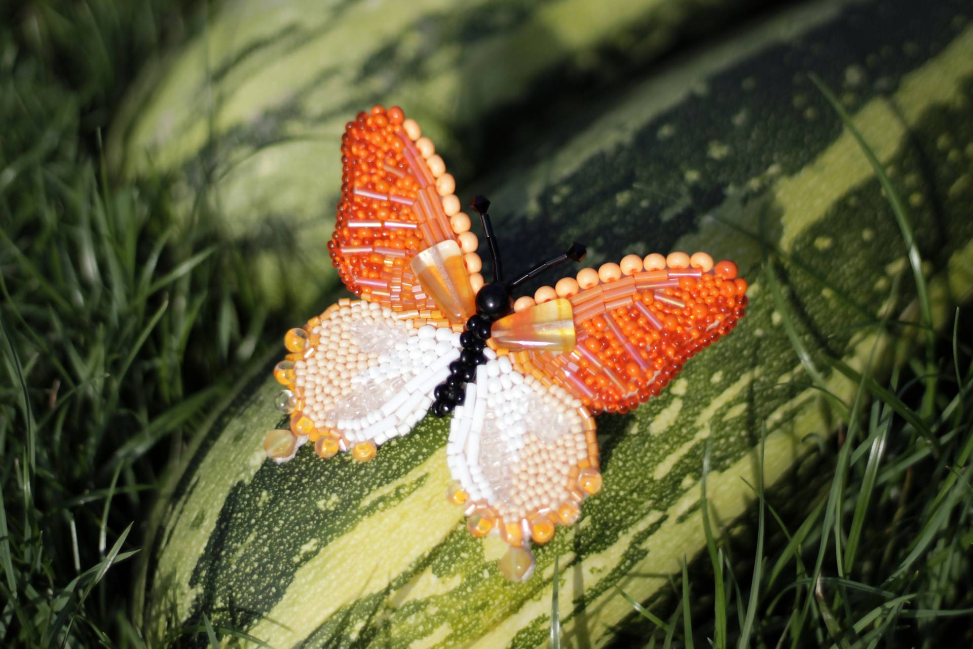 Gelderbschmetterlingsbrosche Gelderbschmetterlingsbrosche von Vocogo
