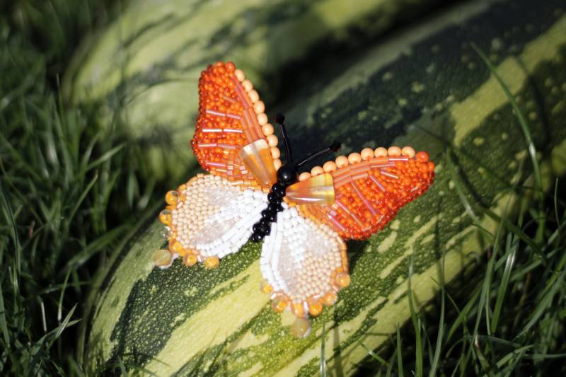 Gelderbschmetterlingsbrosche Gelderbschmetterlingsbrosche von Vocogo