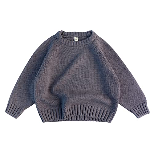 Volunboy Baby Jungen Mädchen Strickpullover Rundhals Sweater Winter Warme Pulli Langarm Oberteile(12-18 Monate,Violett,Größe 80) von Volunboy